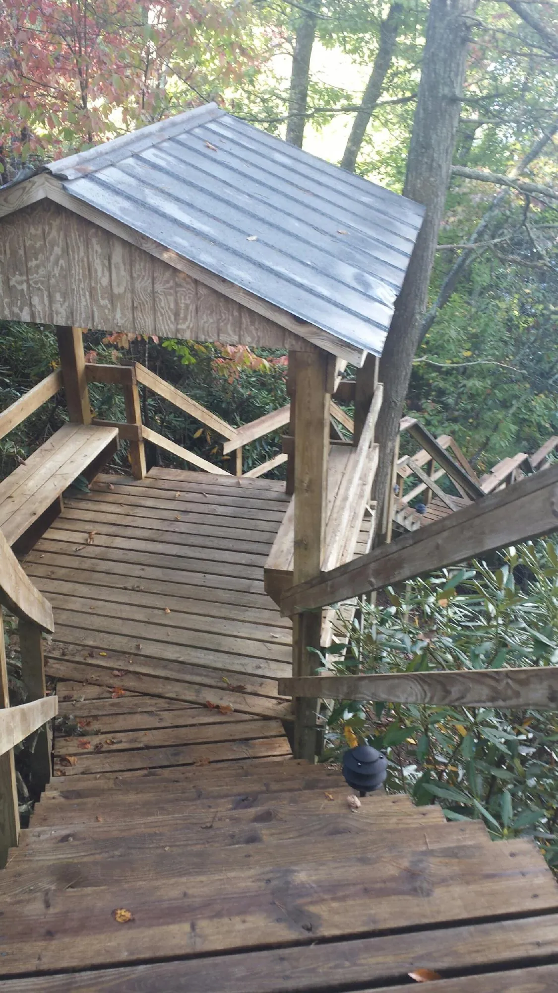 Metal roofed shelter over wooden steps on a wooded walkway — Skylight Repair & Installation work by our crew in Larkspur