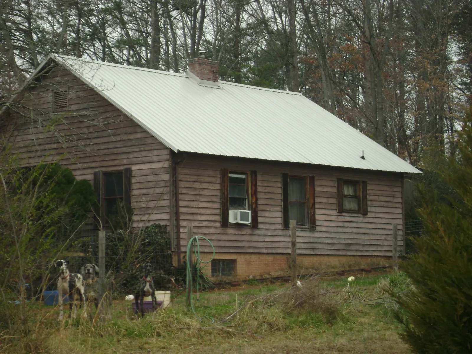 White metal roof on an old wood sided farmhouse, from a Metal Roof Installation job in Larkspur